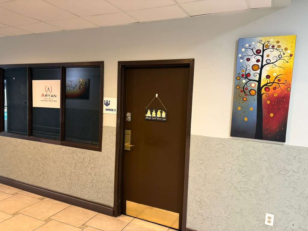 Aryan Impexus USA Office interior